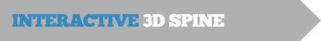 Interactive 3D Spine