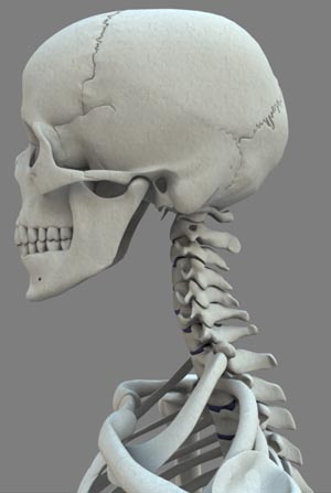 Chiropractic images