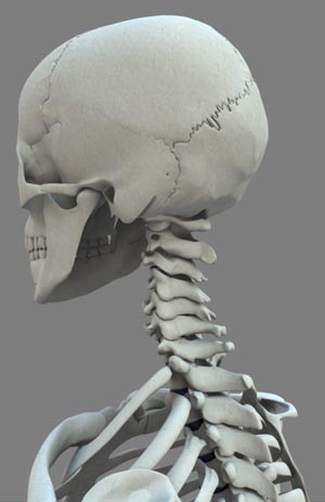 Chiropractic images